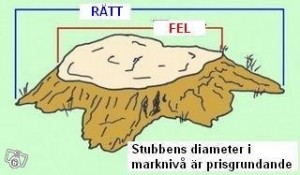 Mätning av stubbe